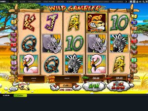 gala casino wild gambler slot